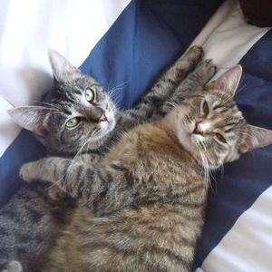 Meet your Posher, Jan